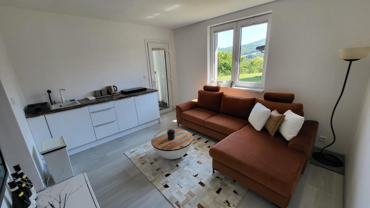 Apartman S Bazenem A Saunou Kadaň 外观 照片